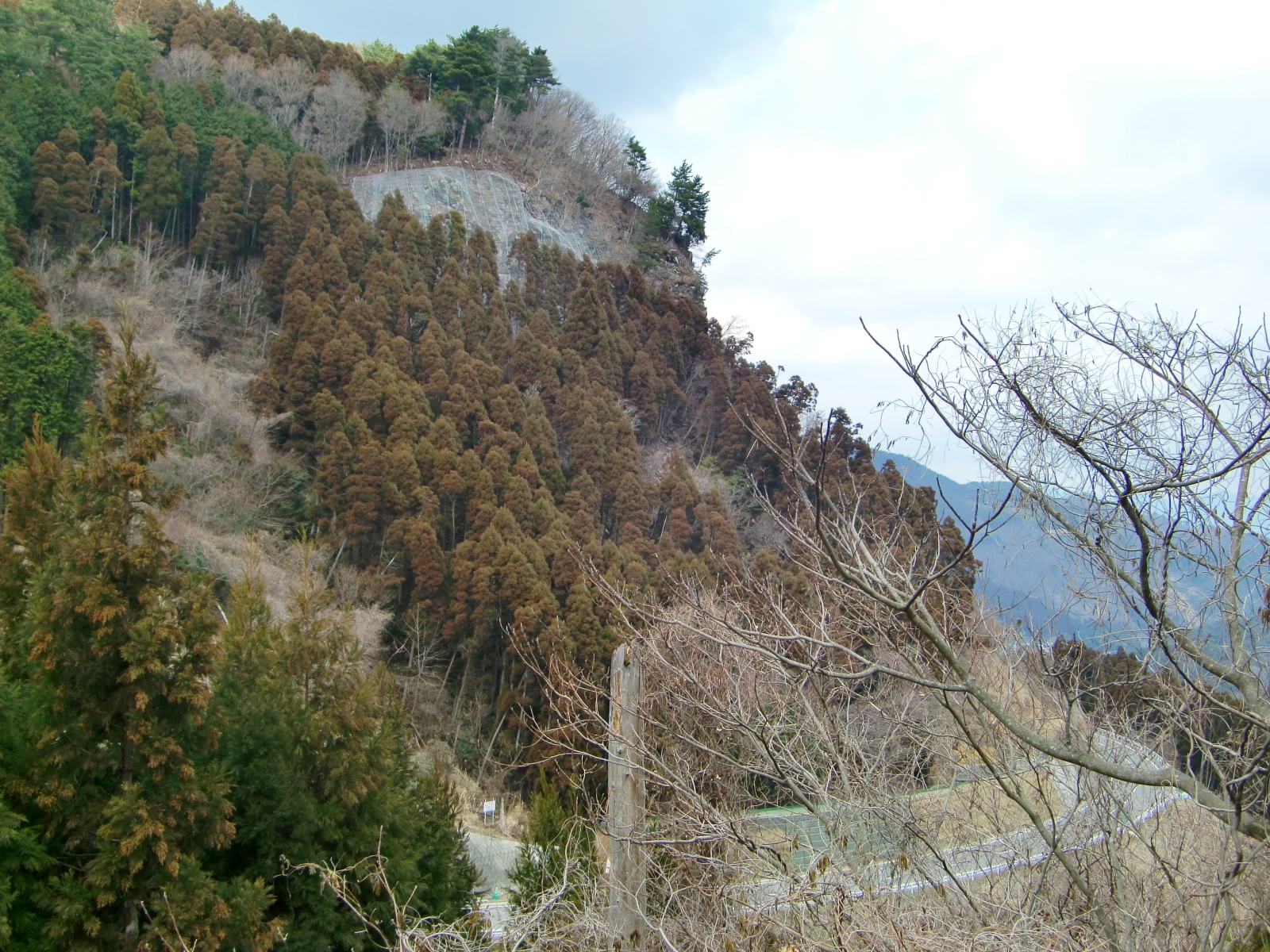 H22予防第１号中州地区治山工事