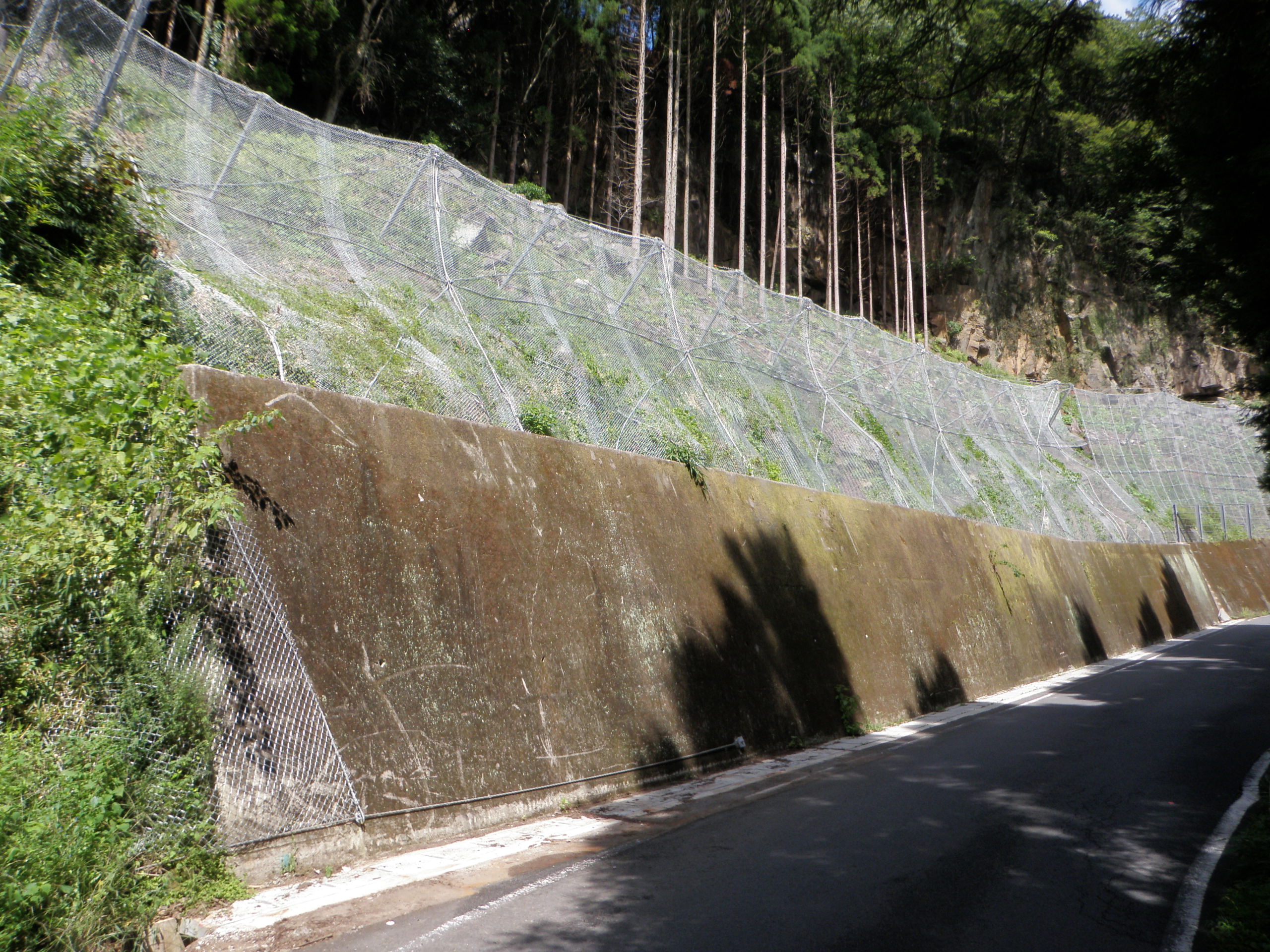 平成２２年度 交付地防野 第５ー６号災害防除工事