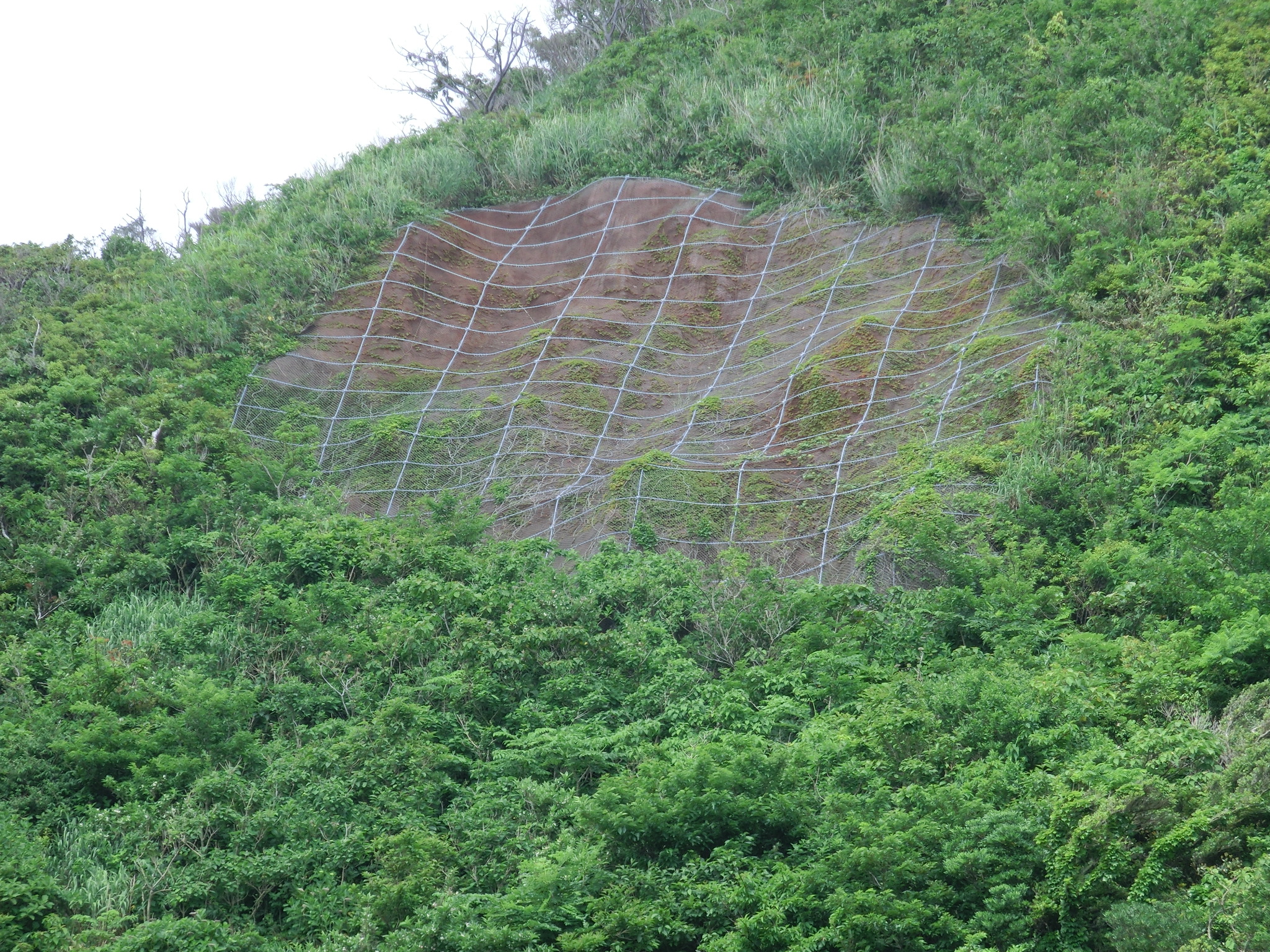 天上山(長浜)火山治山激甚災害対策特別緊急工事