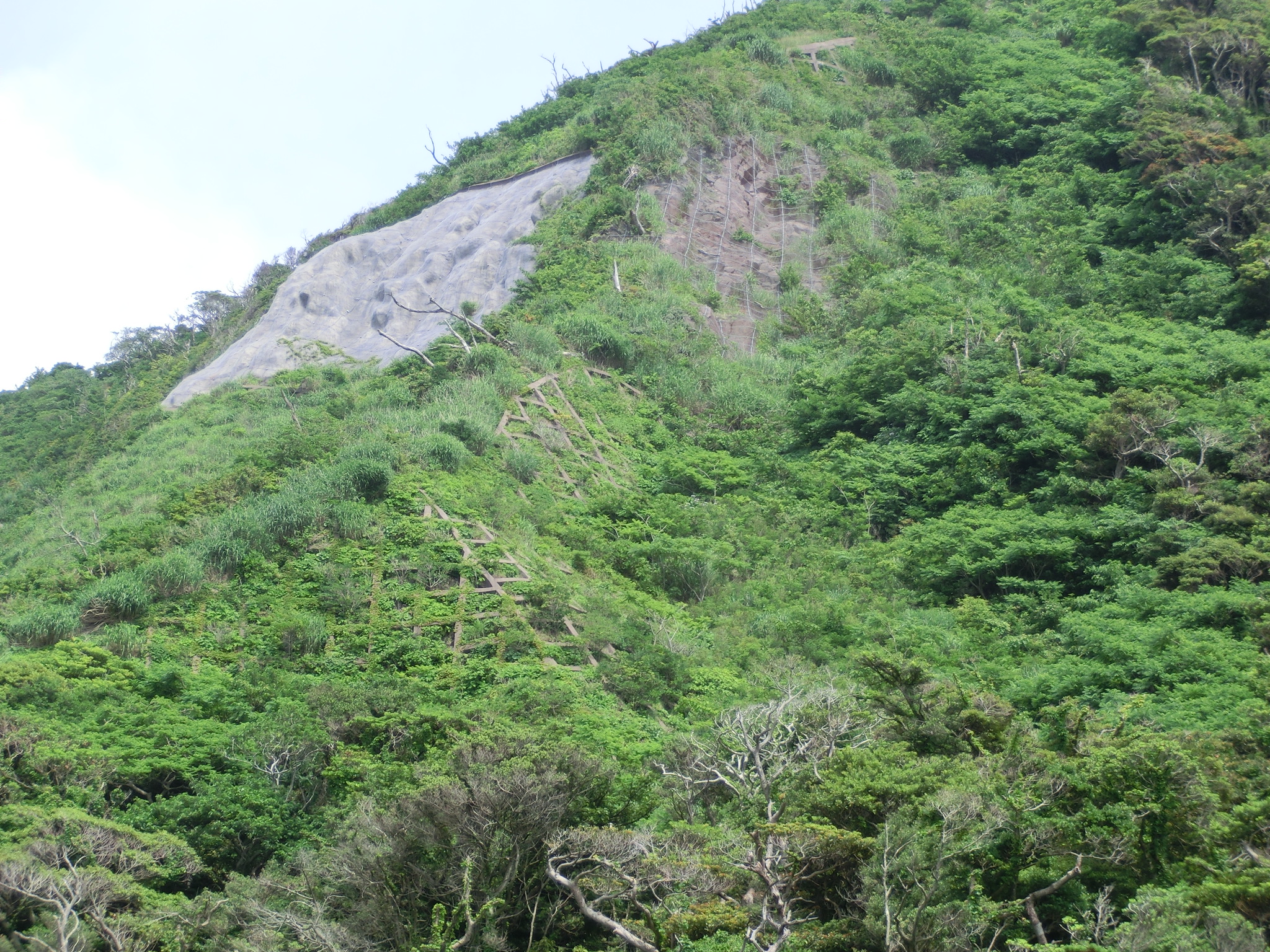 天上山(長浜)火山治山激甚災害対策特別緊急工事