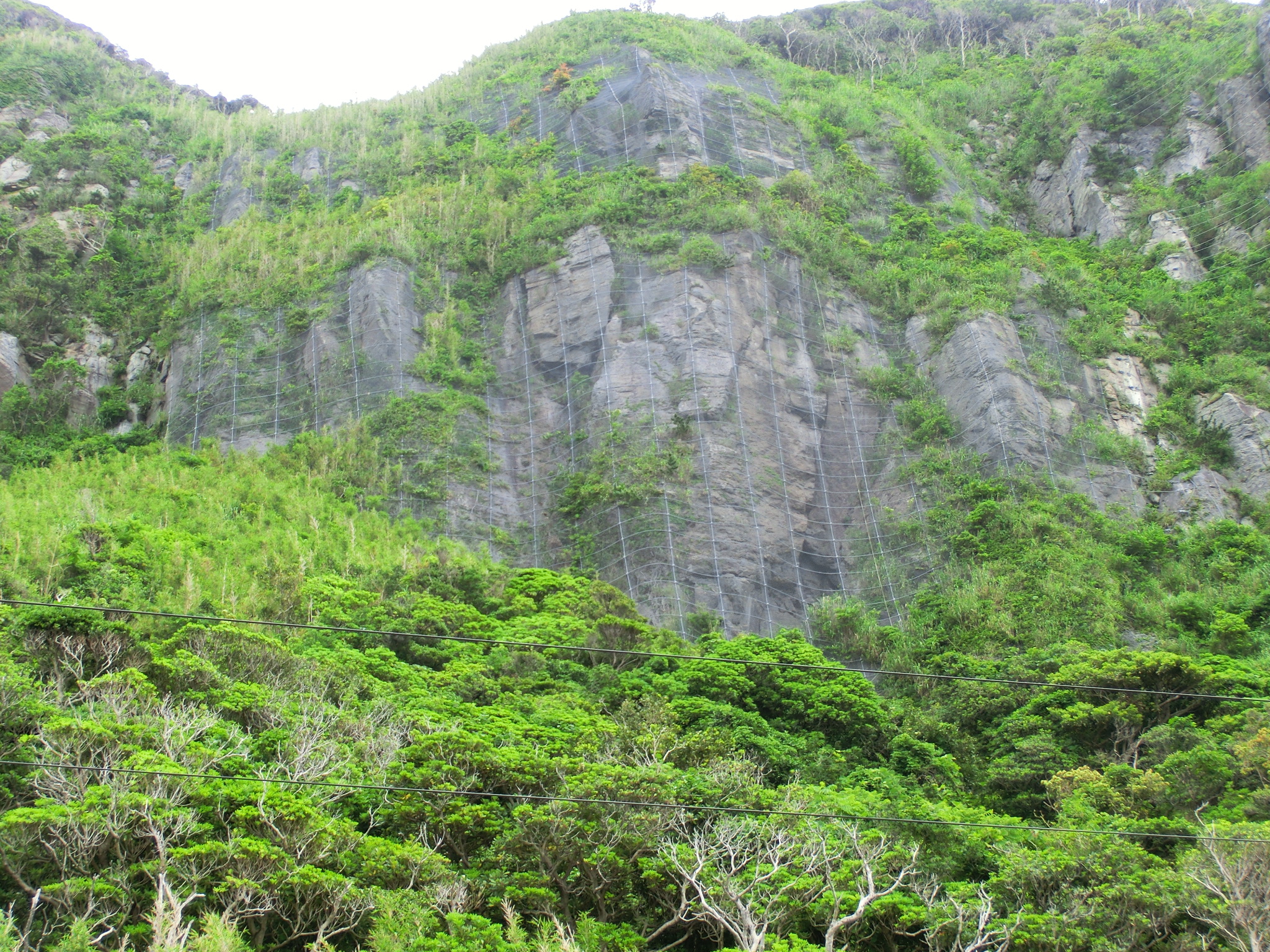 和田浜火山治山激甚災害対策特別緊急工事