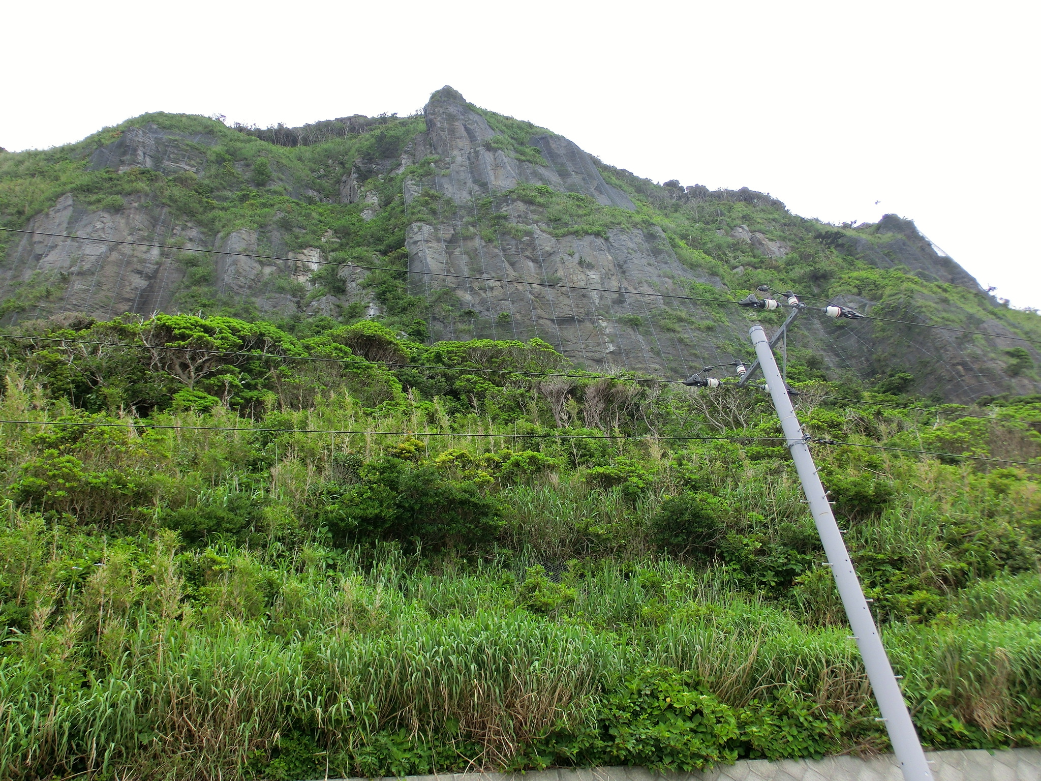 平成15年度和田浜火山治山激甚災害対策特別緊急工事