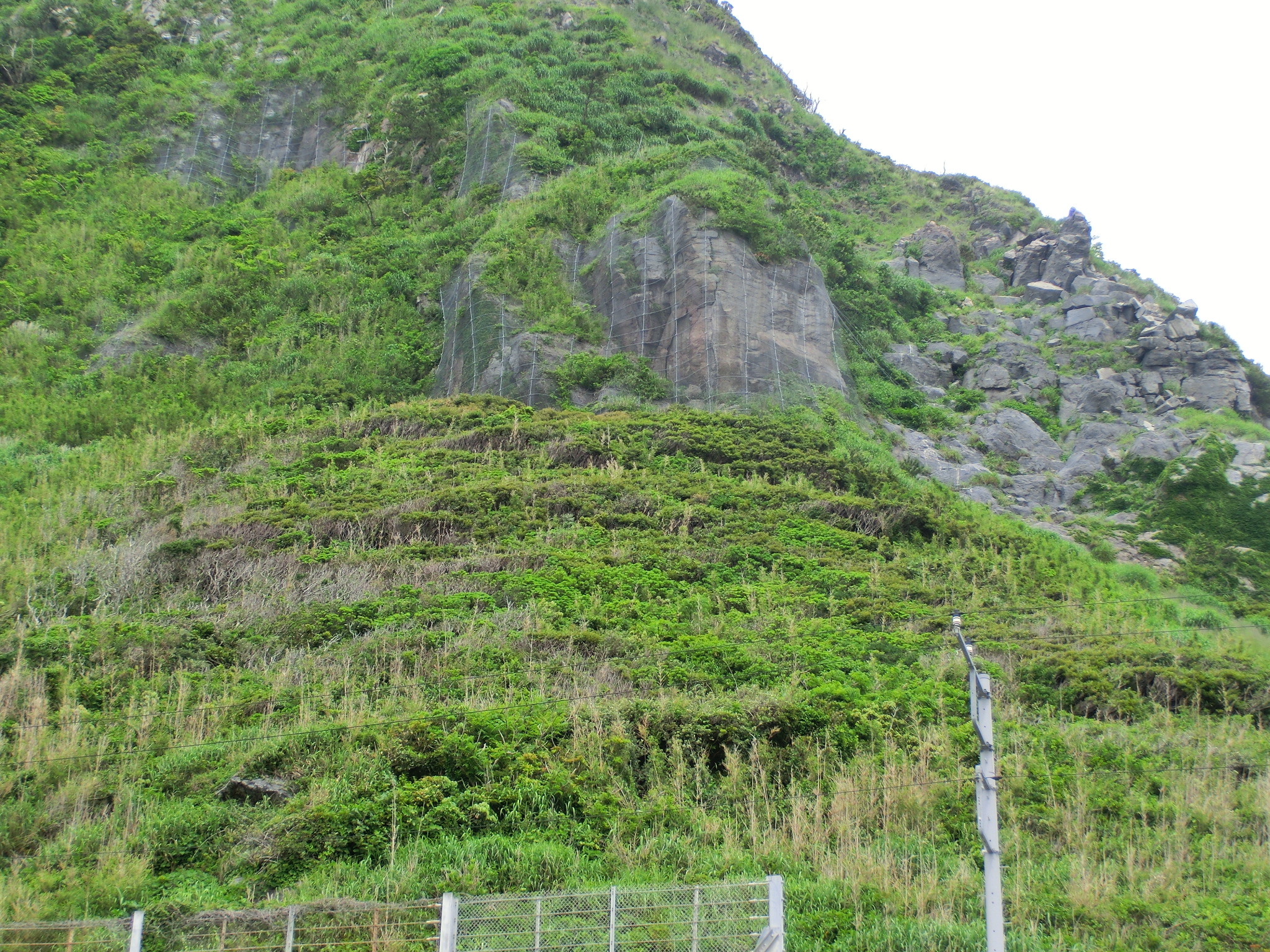 平成17年度和田浜火山治山激甚災害対策特別緊急工事