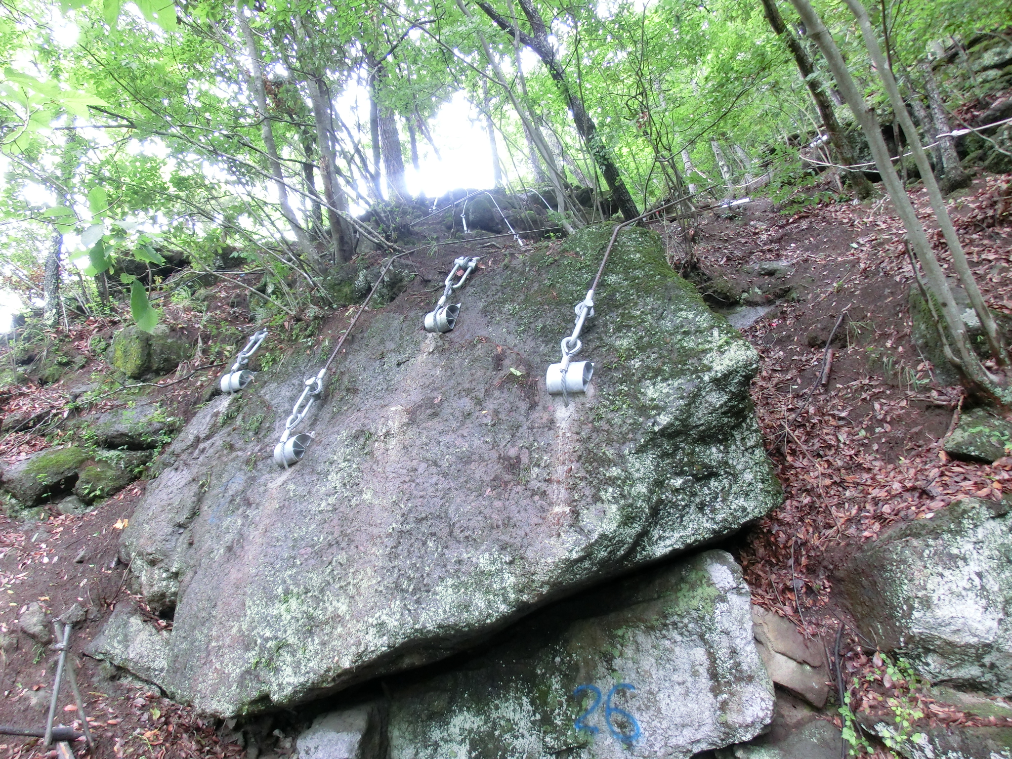 十谷鬼島線道路災害防除工事（４工区）（明許）