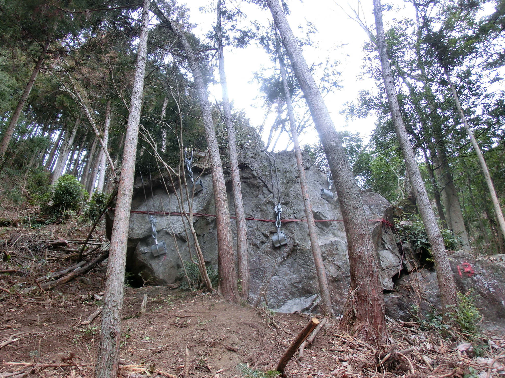 大沢治山工事