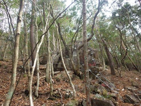 公共予防治山事業鶴ヶ根地区工事