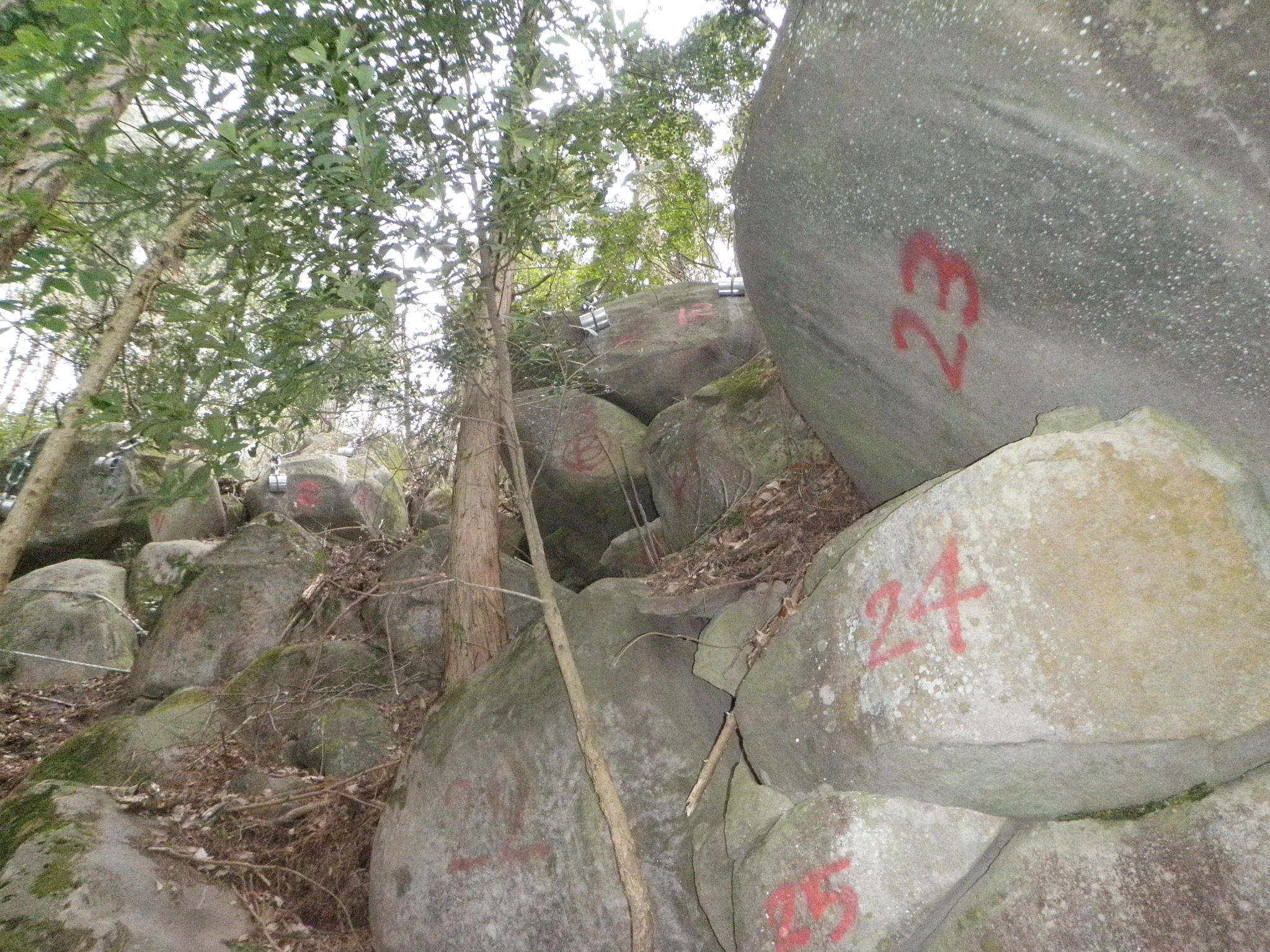 中州地区治山二号