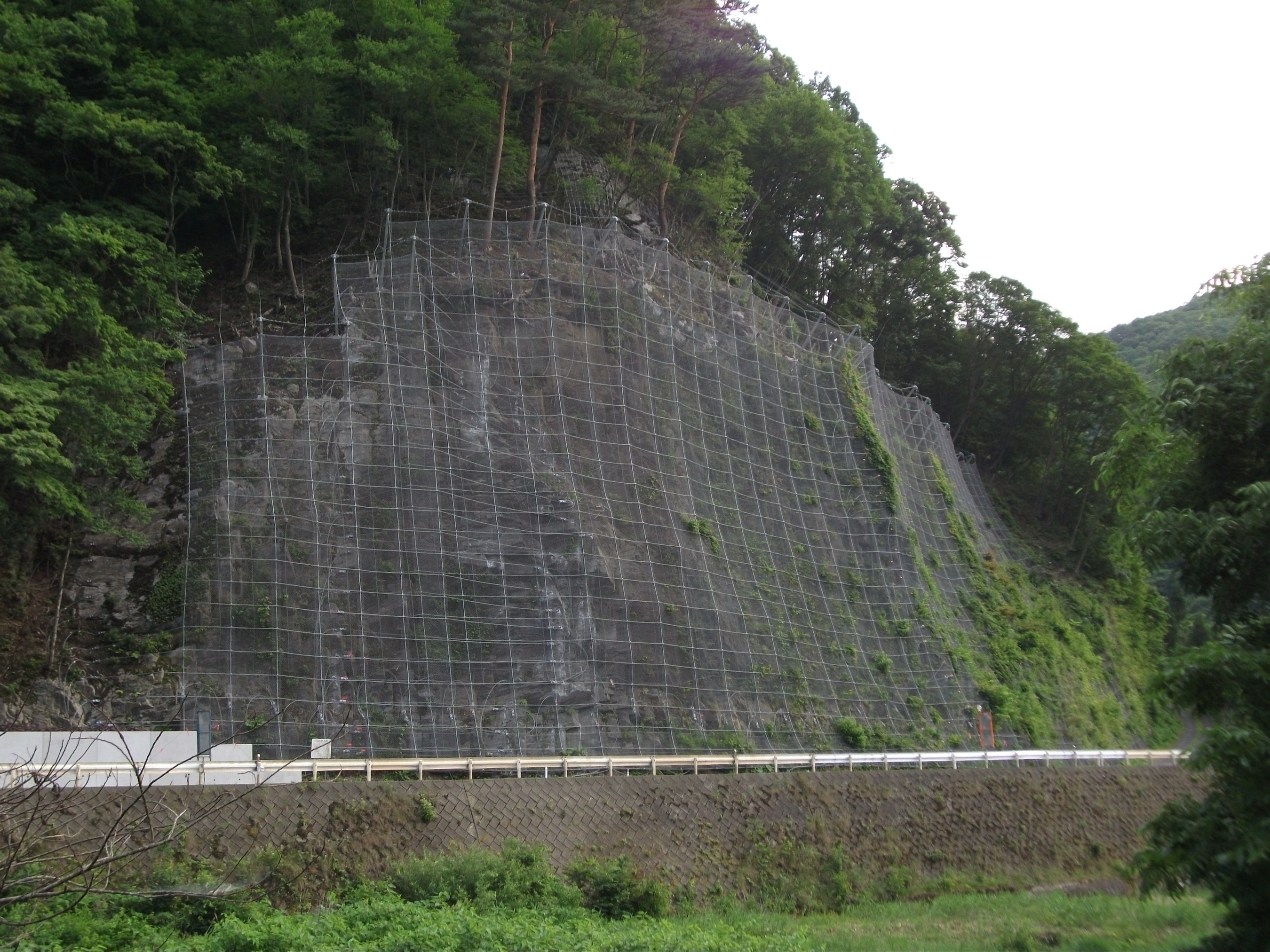 一般国道106号片巣地区道路災害防除（法面工）工事